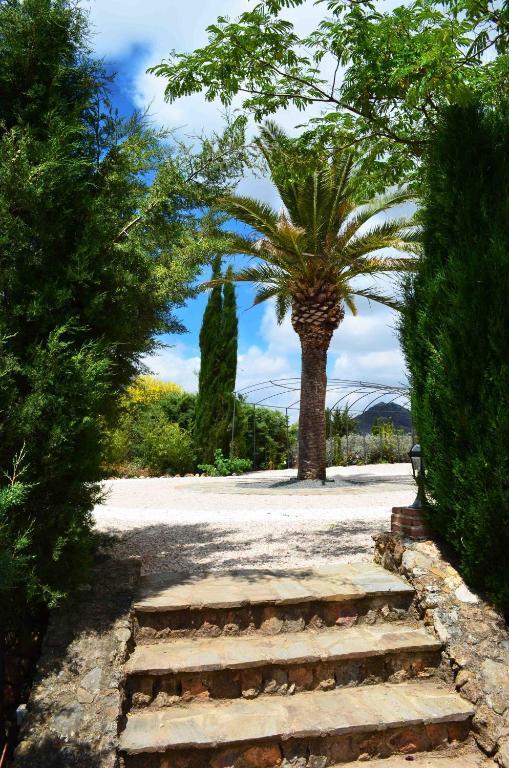 Cortijo Sabila Konuk evi Villanueva del Rosario Dış mekan fotoğraf