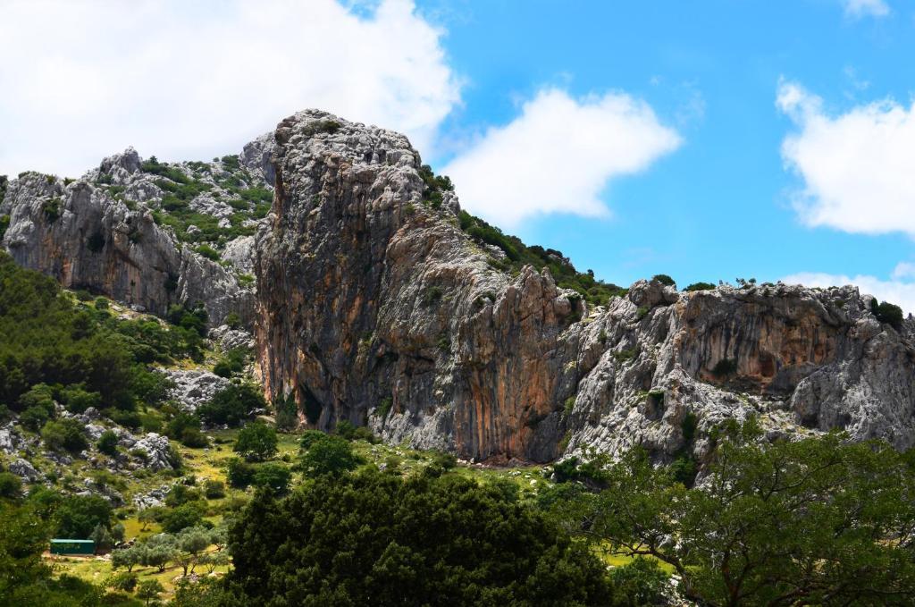 Cortijo Sabila Konuk evi Villanueva del Rosario Dış mekan fotoğraf