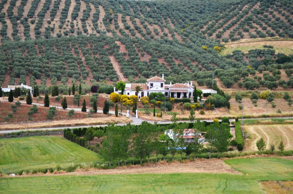 Cortijo Sabila Konuk evi Villanueva del Rosario Dış mekan fotoğraf